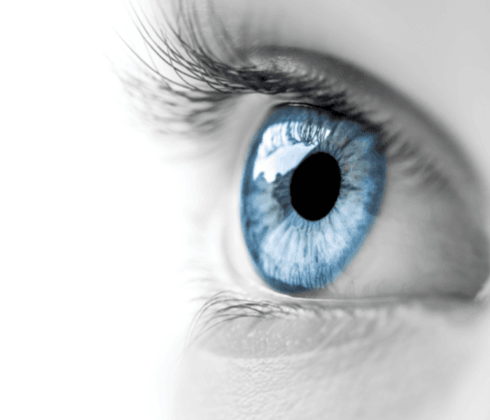 Rewire Your Brain for Success