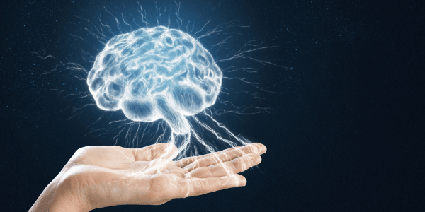 Brainpower Boost: Optimize Habits and Mindset for Peak Performance