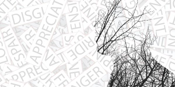 Emotional Dysregulation?