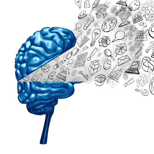 Creating a Positive Environment