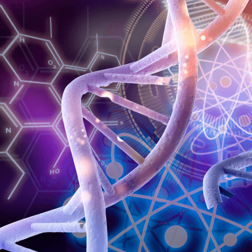 The Science Behind Gratitude